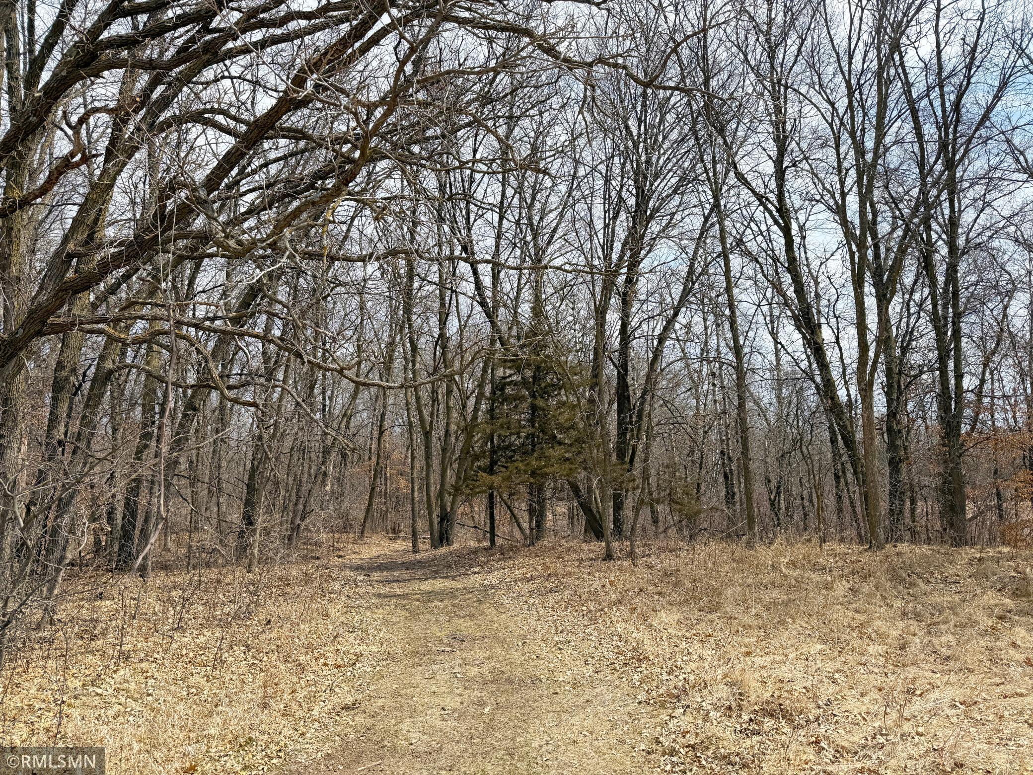 155XX County Road 44, South Haven, Minnesota image 25