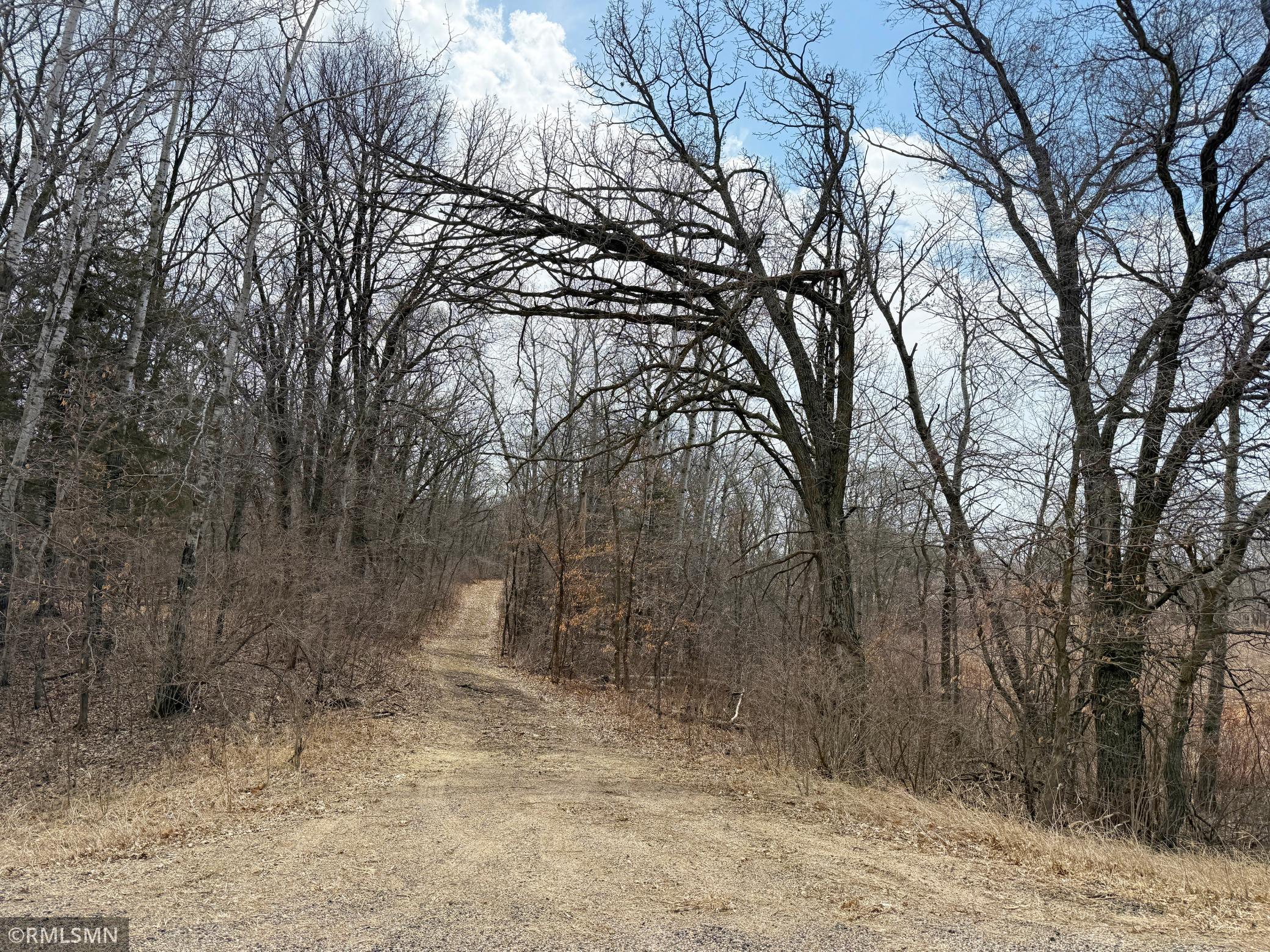 155XX County Road 44, South Haven, Minnesota image 11