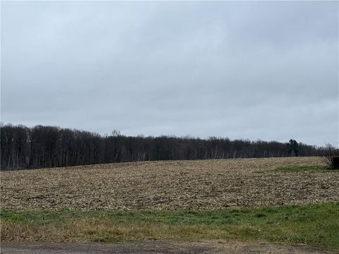 Vacant Land For Sale - LOT 1 County Hwy D<br/> Sarona, WI 54870
