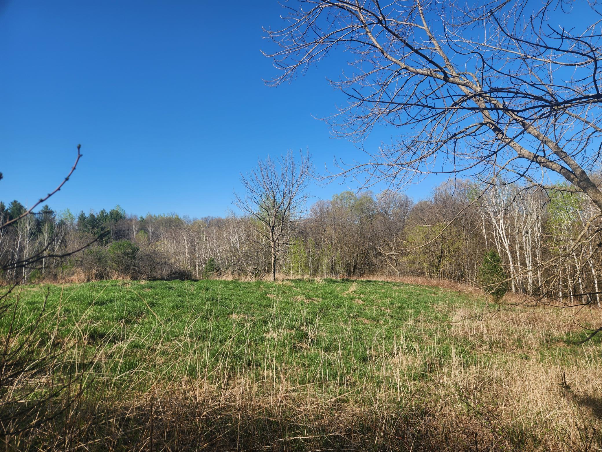 Xxx 890th Avenue, Knapp, Wisconsin image 22