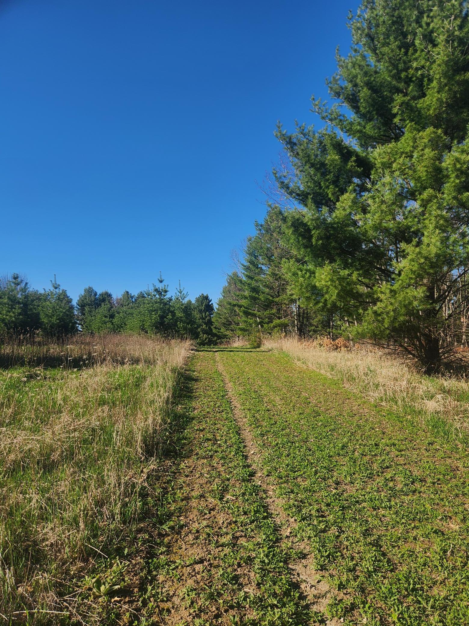 Xxx 890th Avenue, Knapp, Wisconsin image 21