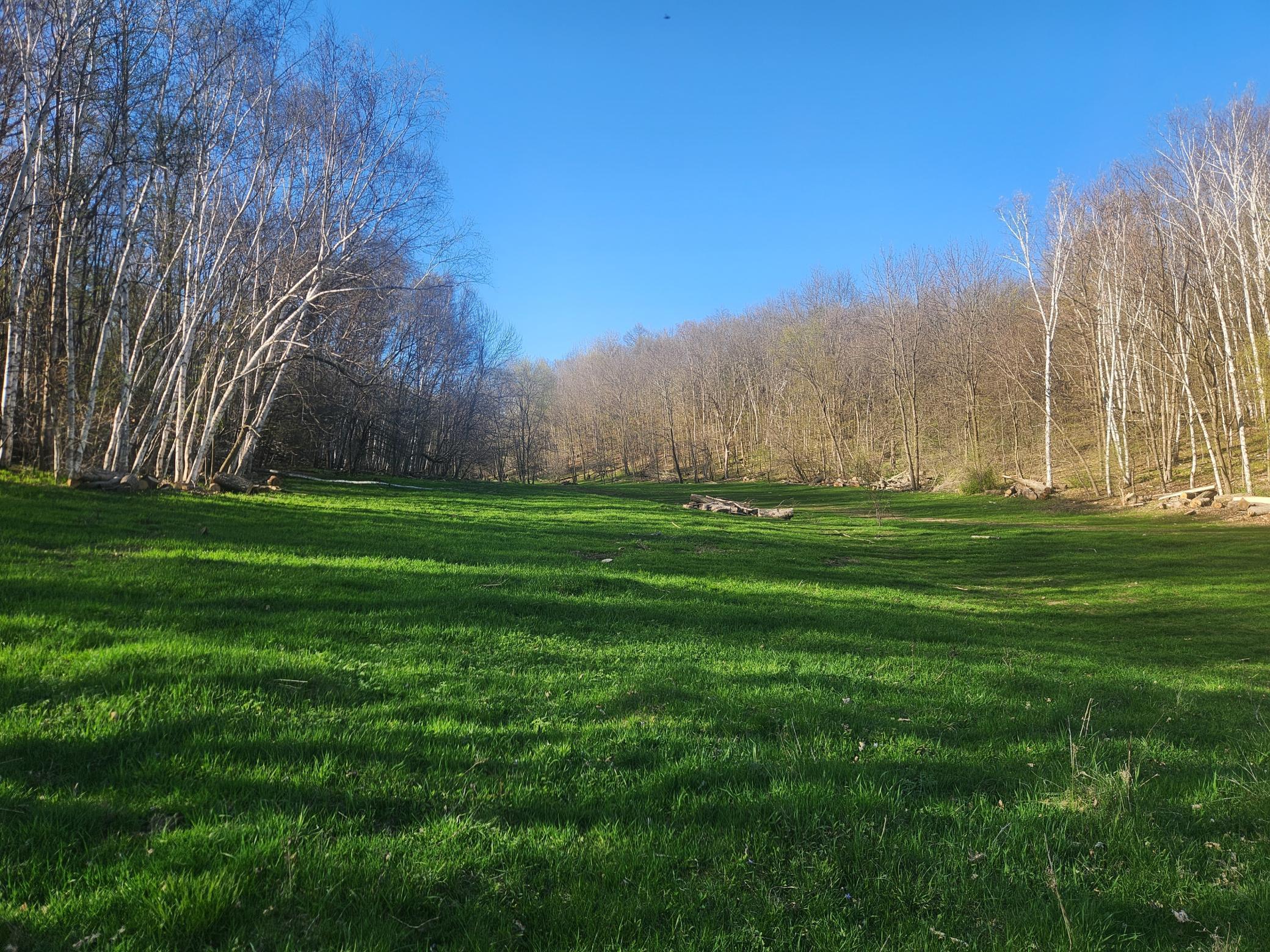 Xxx 890th Avenue, Knapp, Wisconsin image 25