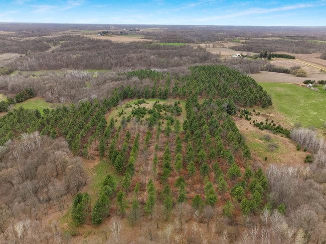 Xxx 890th Avenue, Knapp, Wisconsin image 13