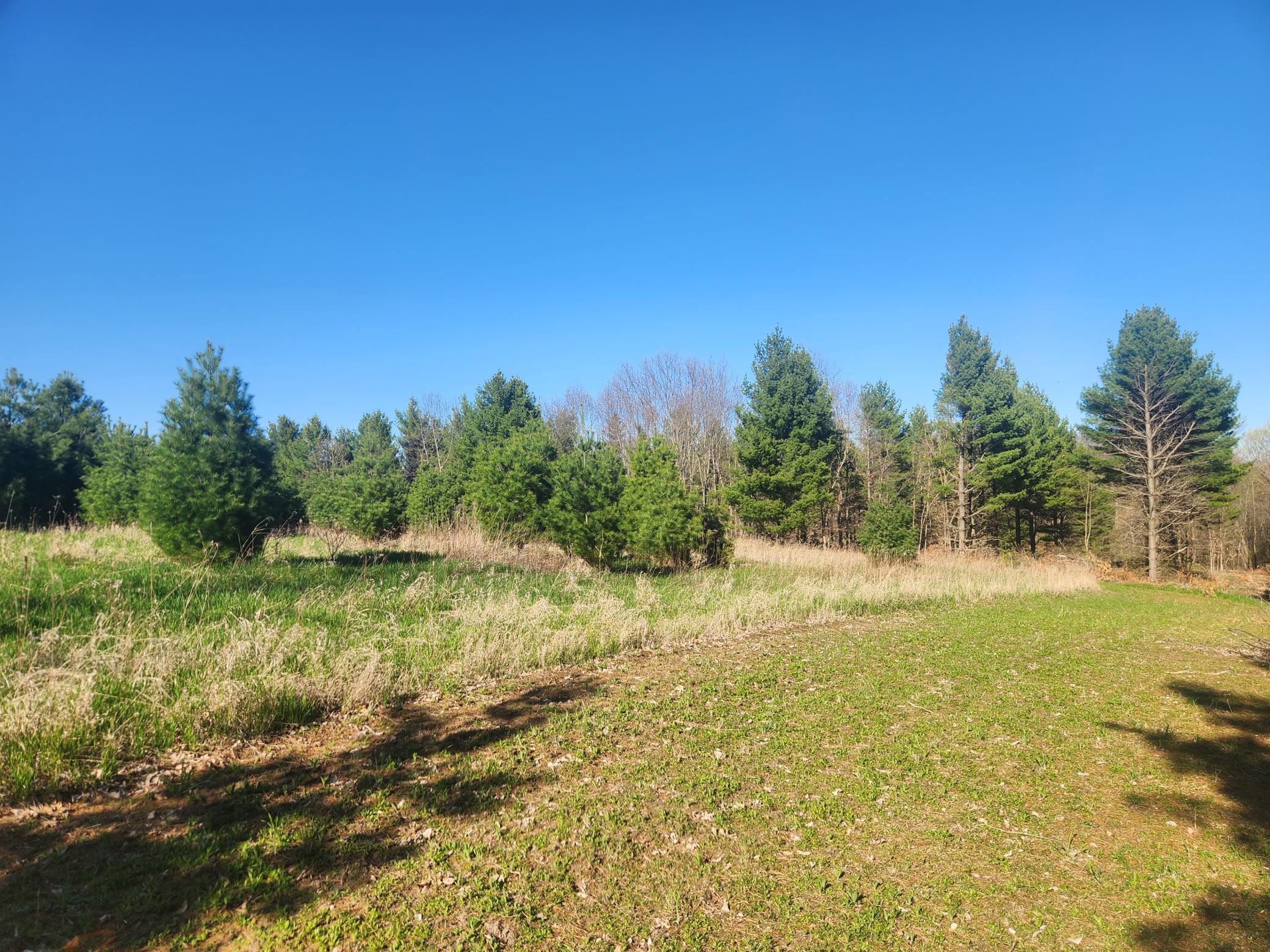 Xxx 890th Avenue, Knapp, Wisconsin image 19