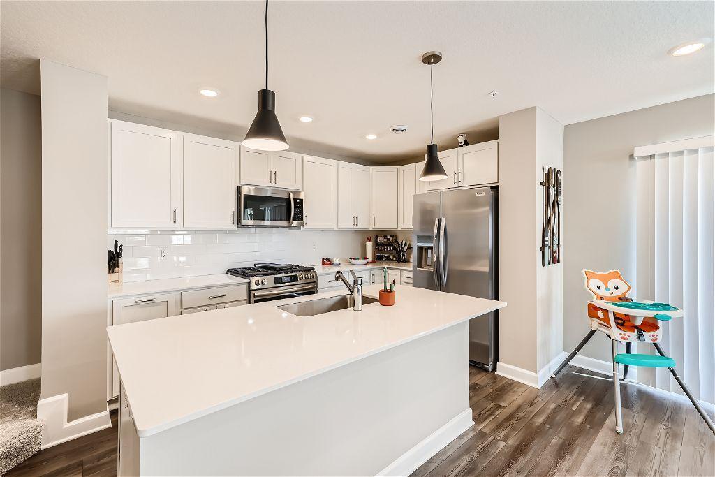14819 Ardee Place, Rosemount, Minnesota image 4
