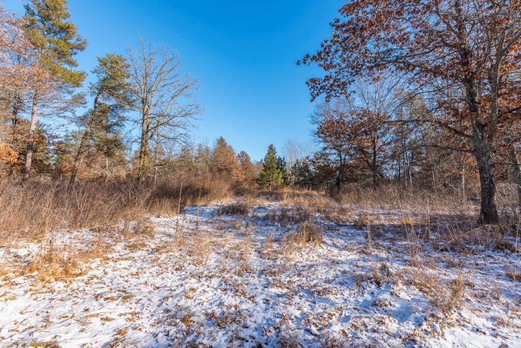 TBD Jasperwood Drive, Baxter, Minnesota image 9