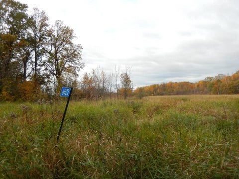 Vacant Land For Sale - TBD 16-005-0102 Mille Lacs County<br/> Mille Lacs County, Princeton, MN 55371