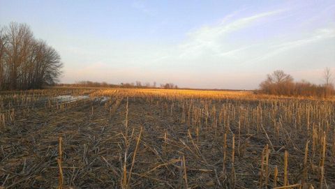 Vacant Land For Sale - TBD 16-005-0102 Mille Lacs County<br/> Princeton, MN 55371