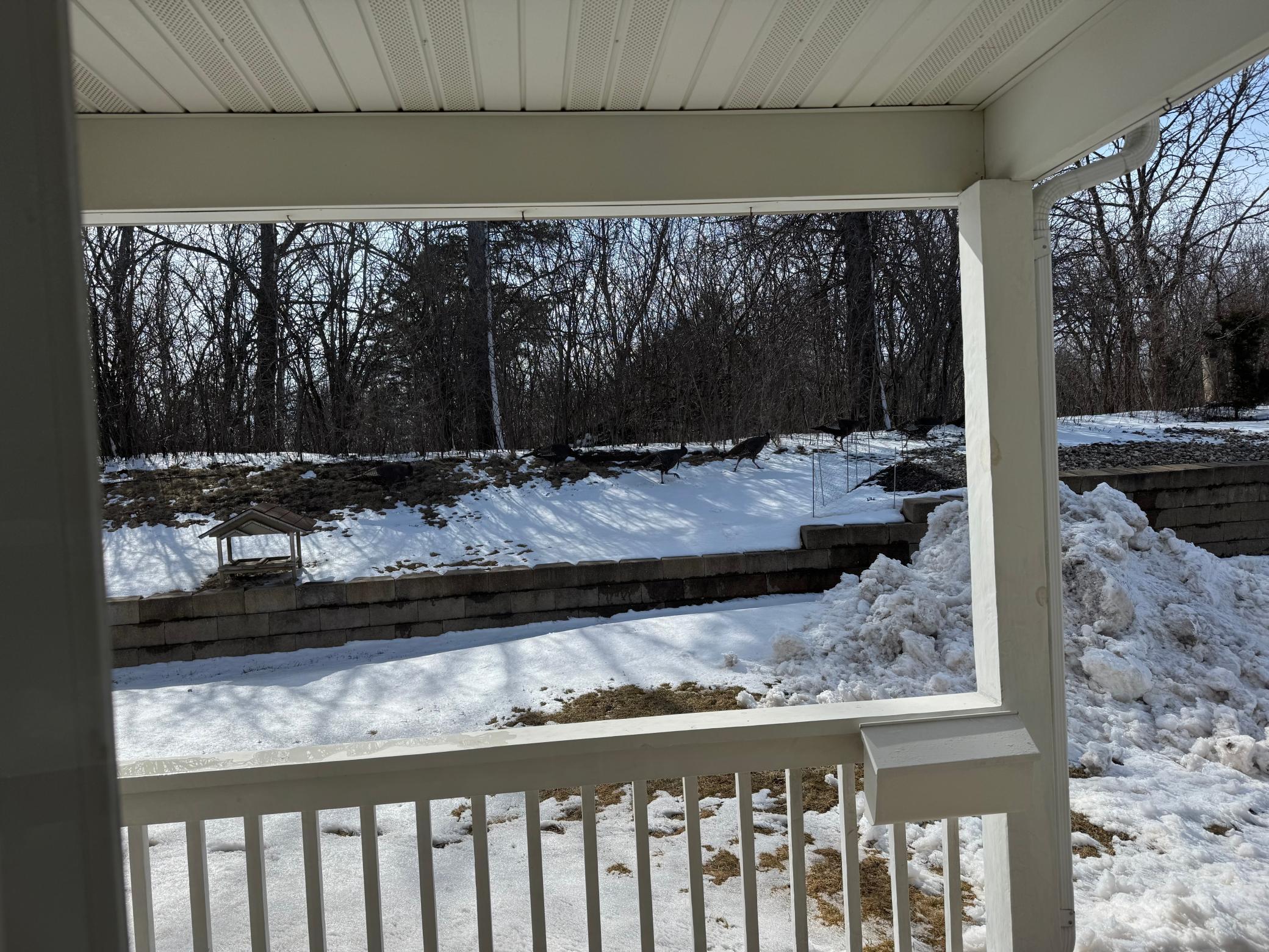 1505 Highview Trail, Albert Lea, Minnesota image 7