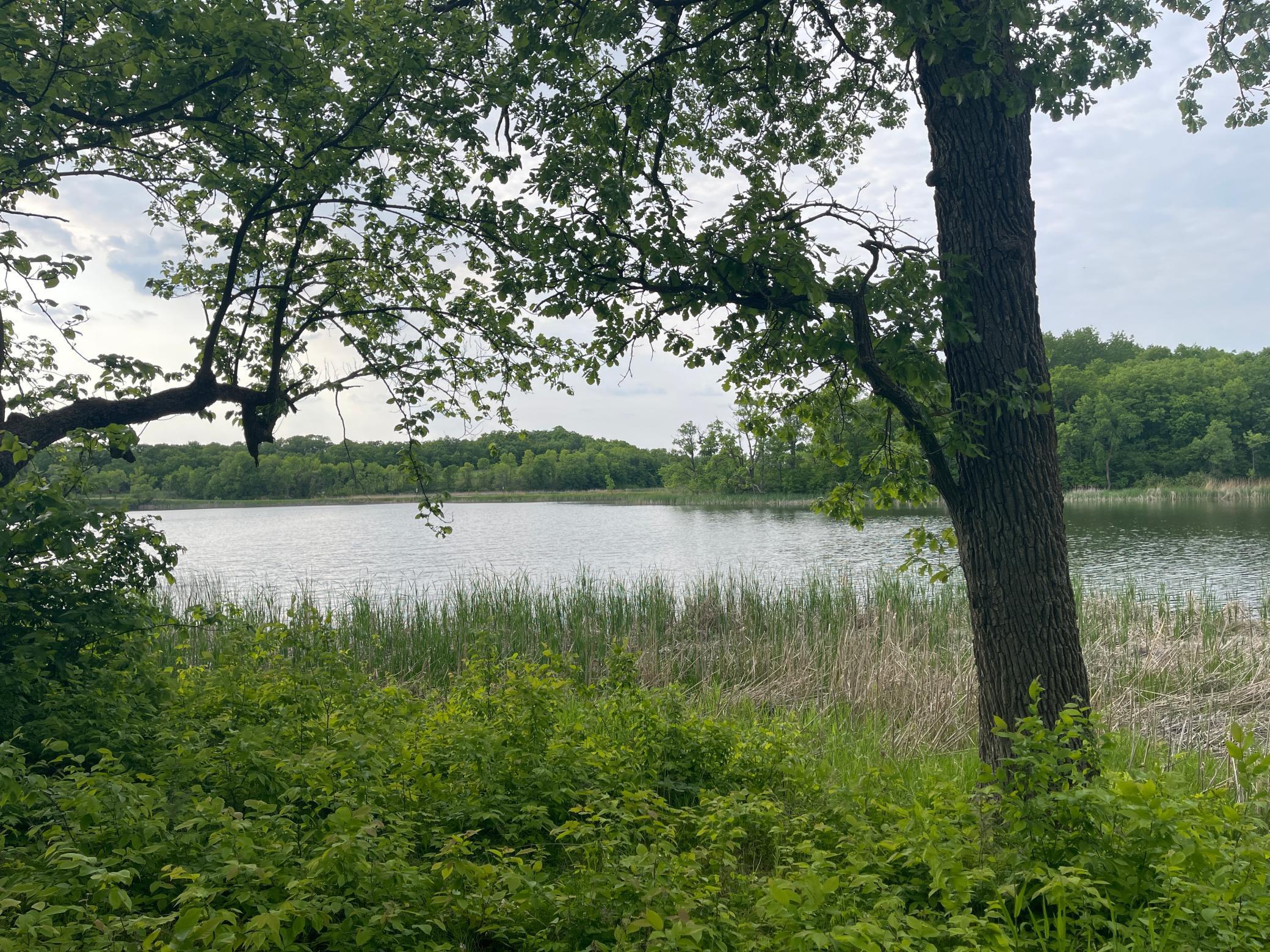 15988 Solitude Court, Evansville, Minnesota image 1