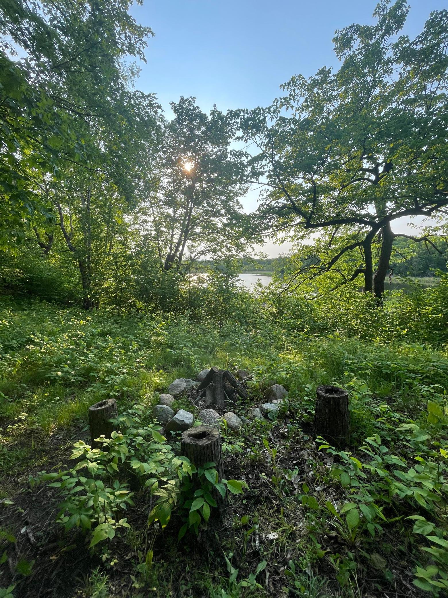15988 Solitude Court, Evansville, Minnesota image 11