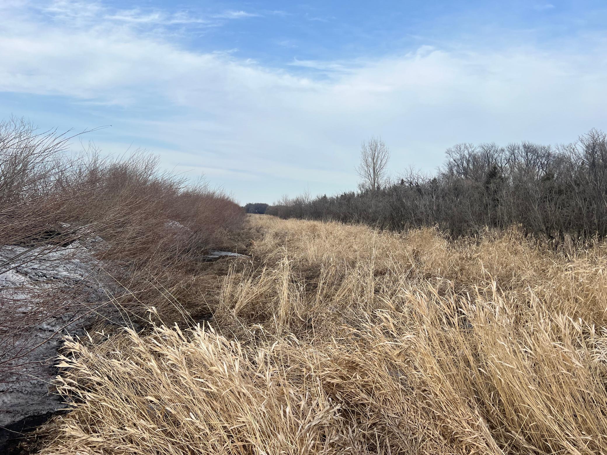 TBD 240th Avenue, Elbow Lake, Minnesota image 46