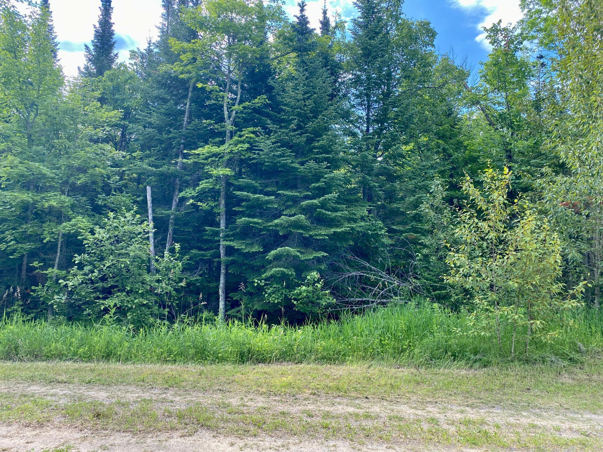 Lot 19 Natures Trail, Federal Dam, Minnesota image 3