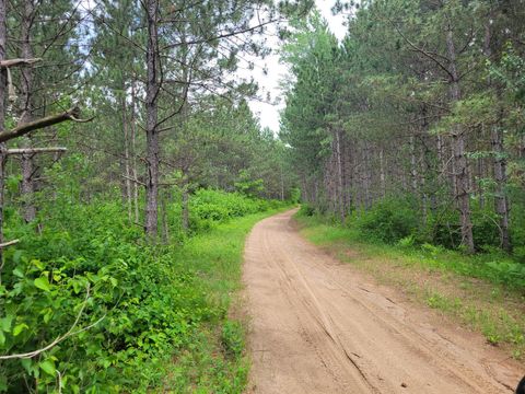 Vacant Land For Sale - 1045B State Trail<br/> Nevis, MN 56467
