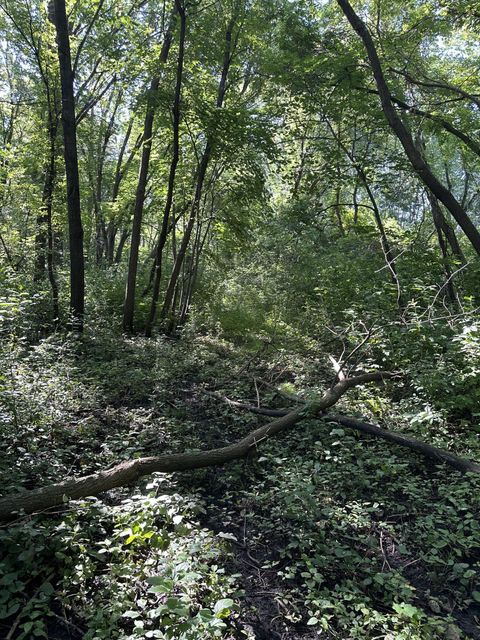 Vacant Land For Sale - XXX 50th Street<br/> Delano, MN 55313