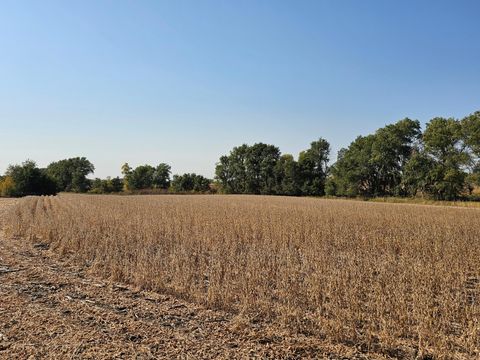 Vacant Land For Sale - - Mamre Twp<br/> Pennock, MN 56279