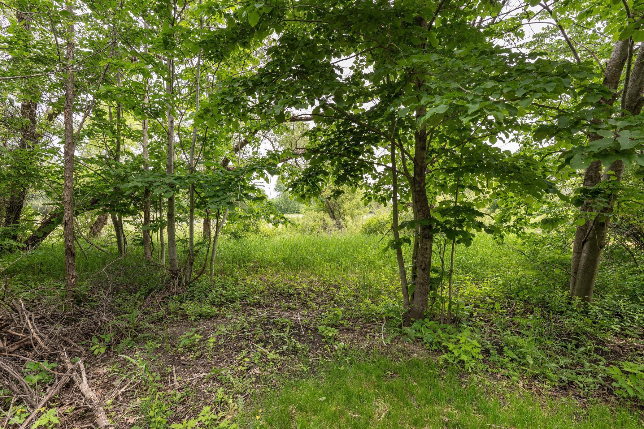 29151 Pleasant Lake Road, Underwood, Minnesota image 19