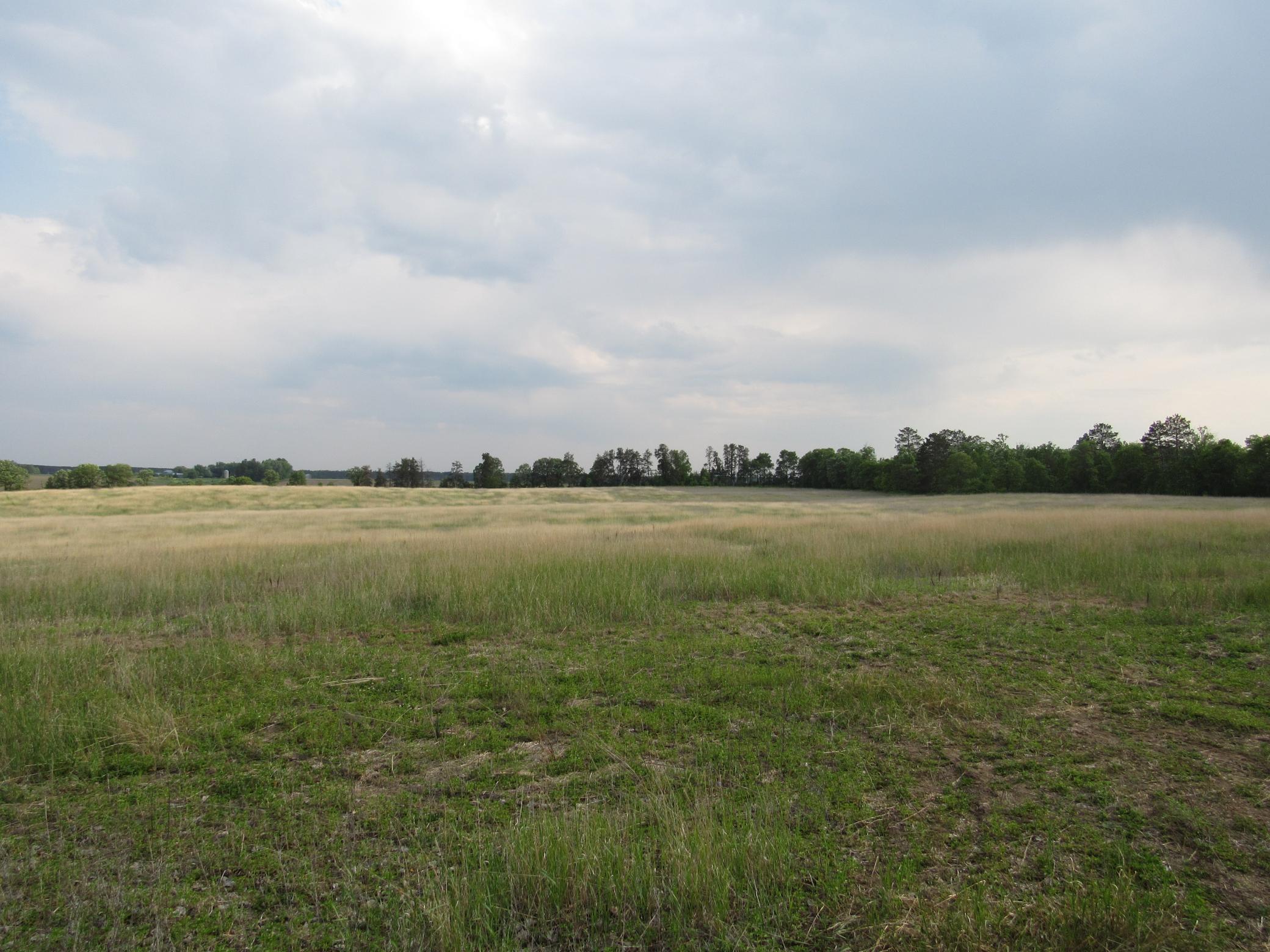 TBD 12th Street, Backus, Minnesota image 3