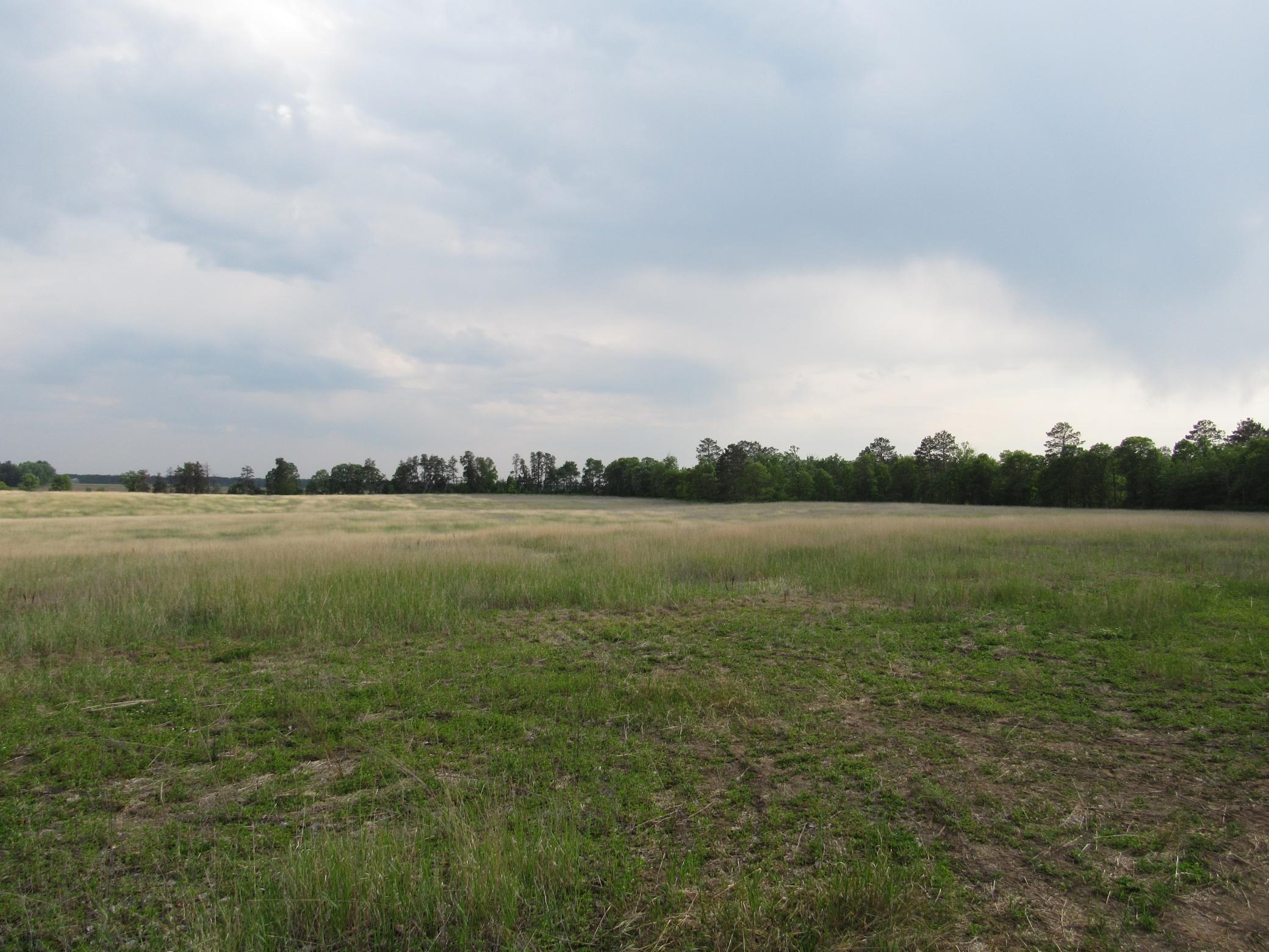 TBD 12th Street, Backus, Minnesota image 2