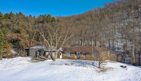 Homes For Sale - 28890 County 25<br/> Fillmore County, Peterson, MN 55962