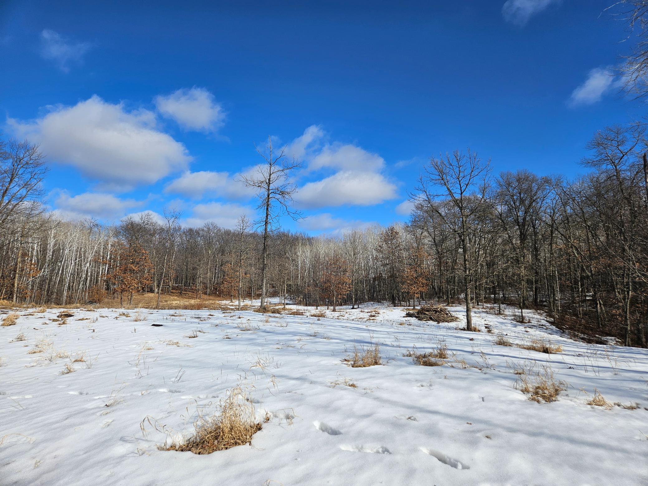 Tract D County Road 12, Ironton, Minnesota image 2