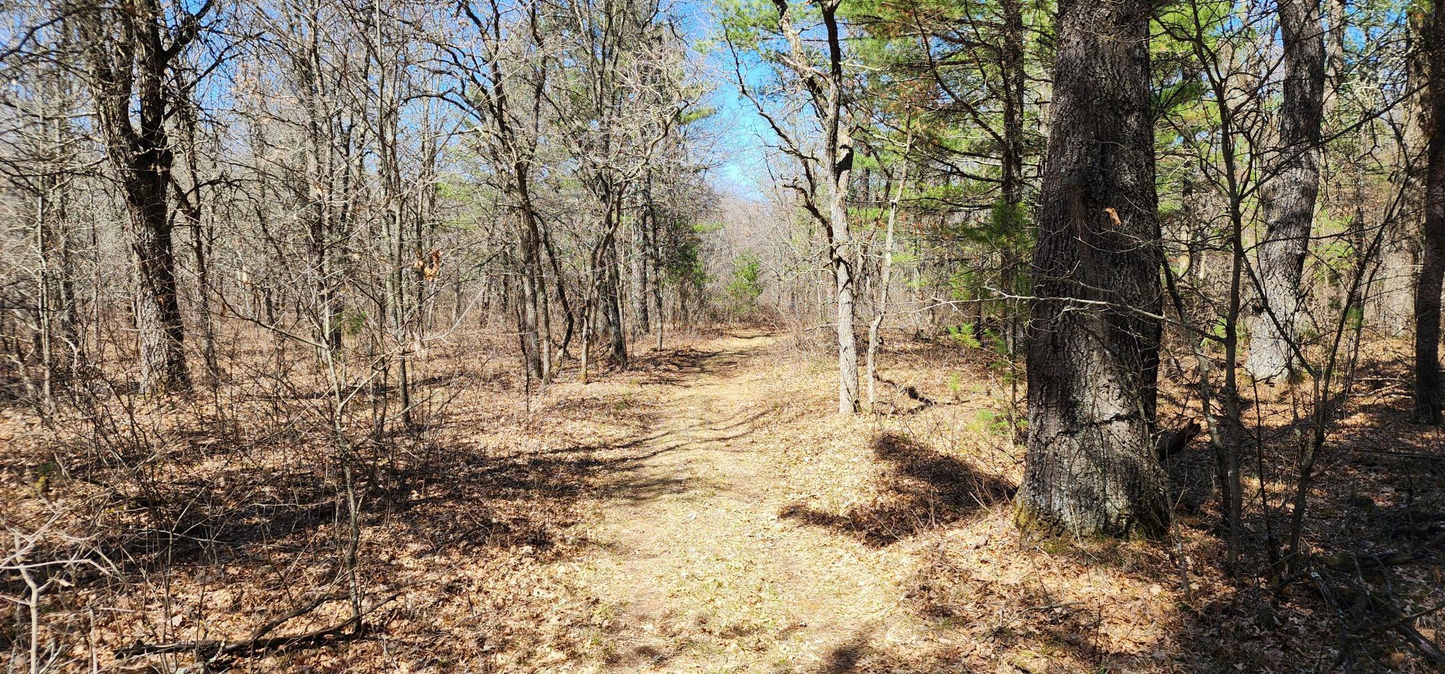 14629 Benson Road, Grantsburg, Wisconsin image 47