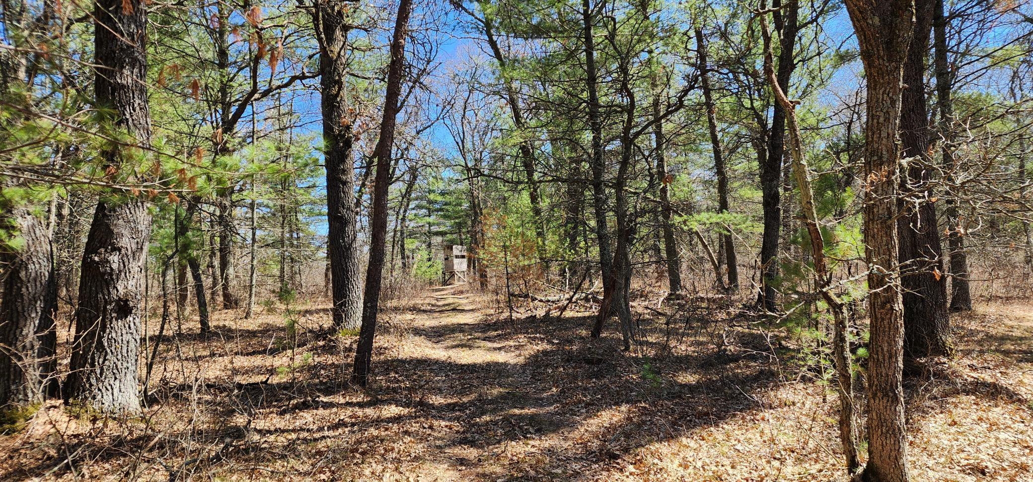 14629 Benson Road, Grantsburg, Wisconsin image 48