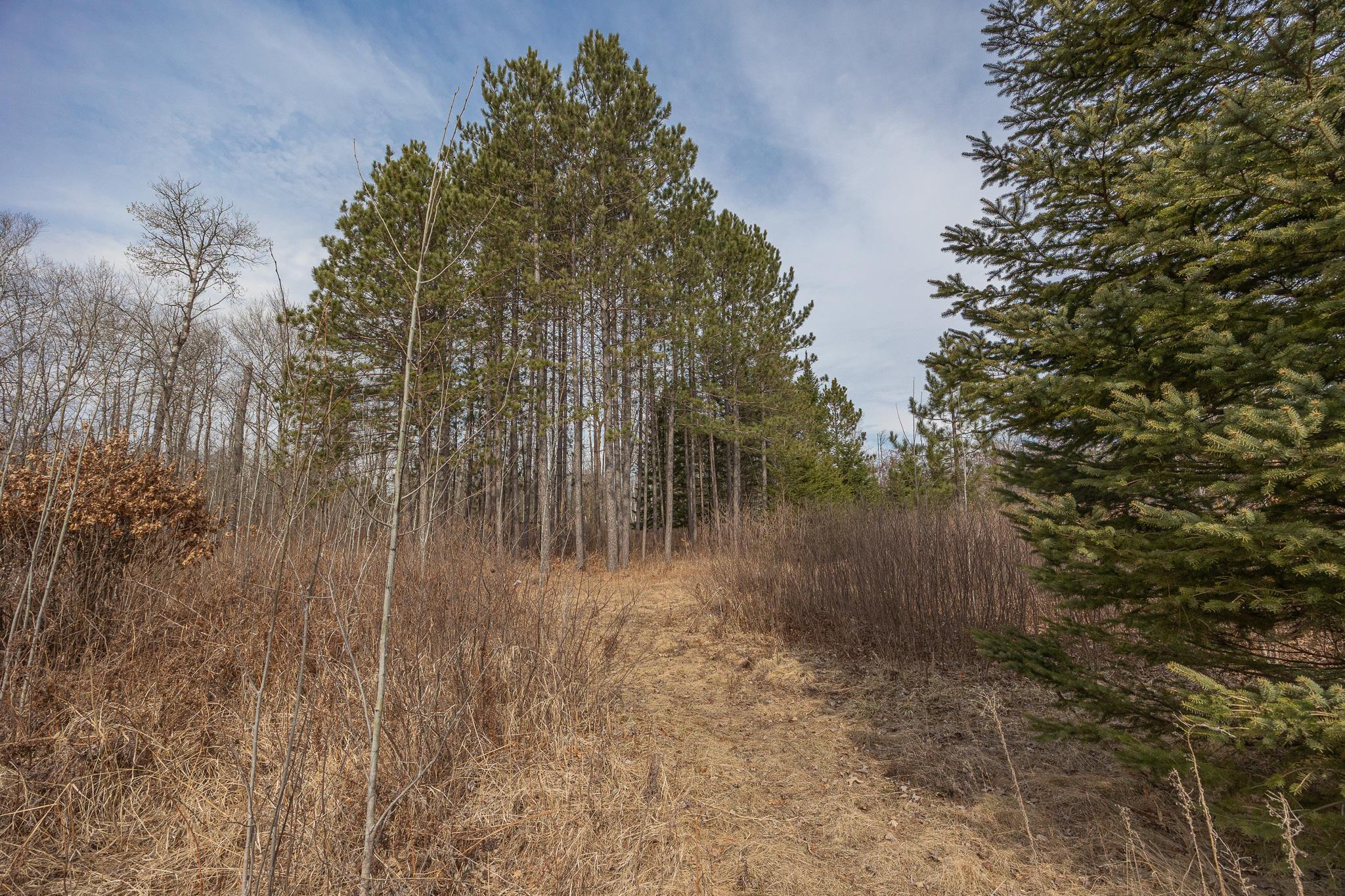 40345 Old County Road 1, Fifty Lakes, Minnesota image 34
