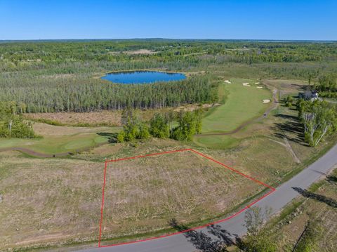Vacant Land For Sale - LOT 21 .85 ACRES 16279 Tom Lehman Drive<br/> Brainerd, MN 56401