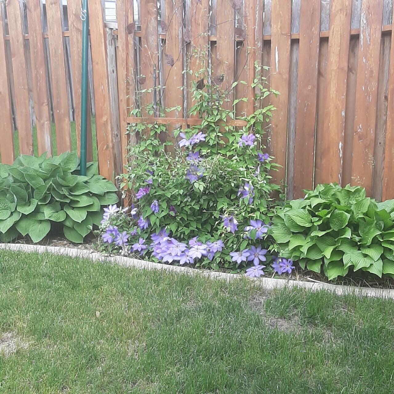 Fargo, North Dakota 58102, United States, 3 Bedrooms Bedrooms, ,2 BathroomsBathrooms,Residential,Active,64229