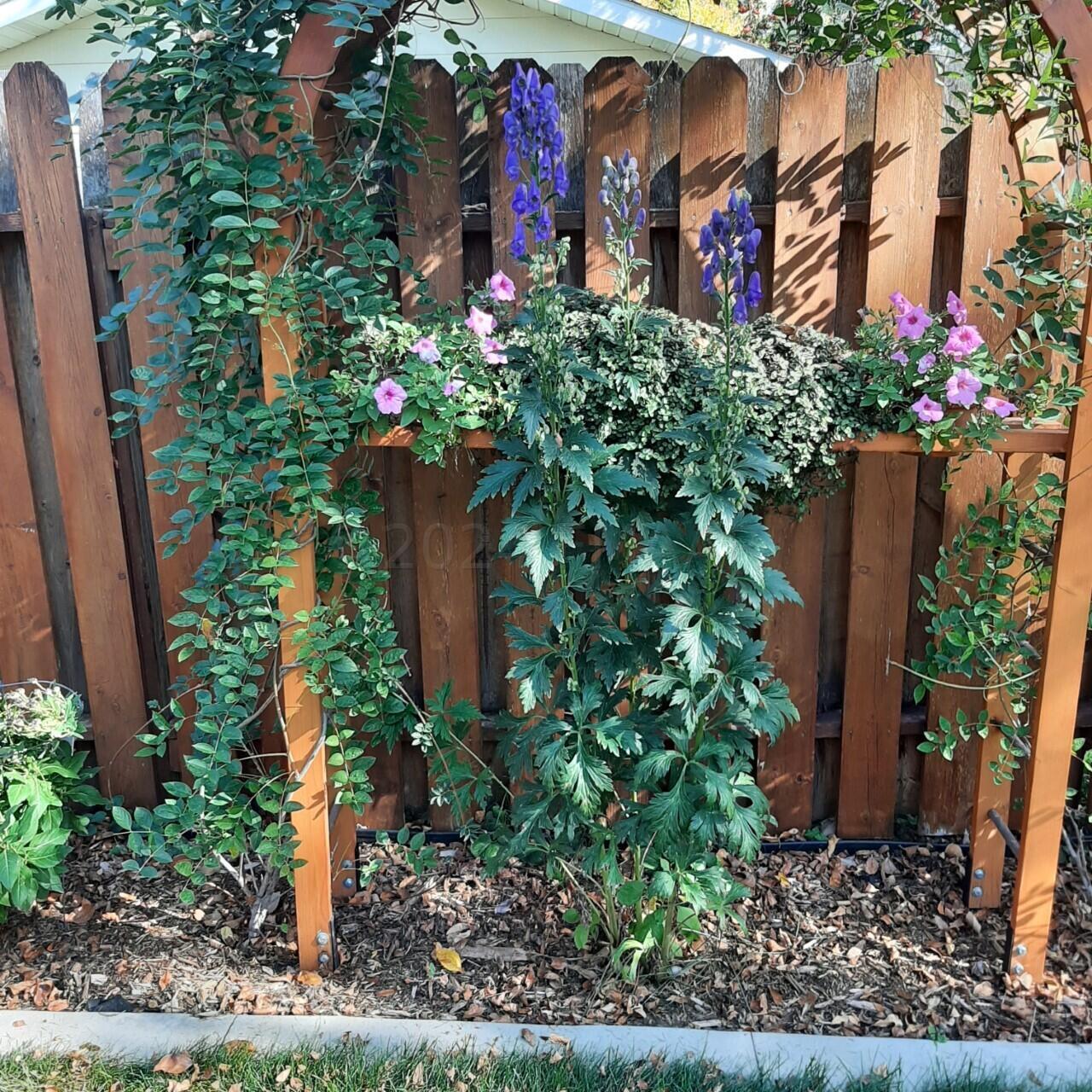 Fargo, North Dakota 58102, United States, 3 Bedrooms Bedrooms, ,2 BathroomsBathrooms,Residential,Active,64229