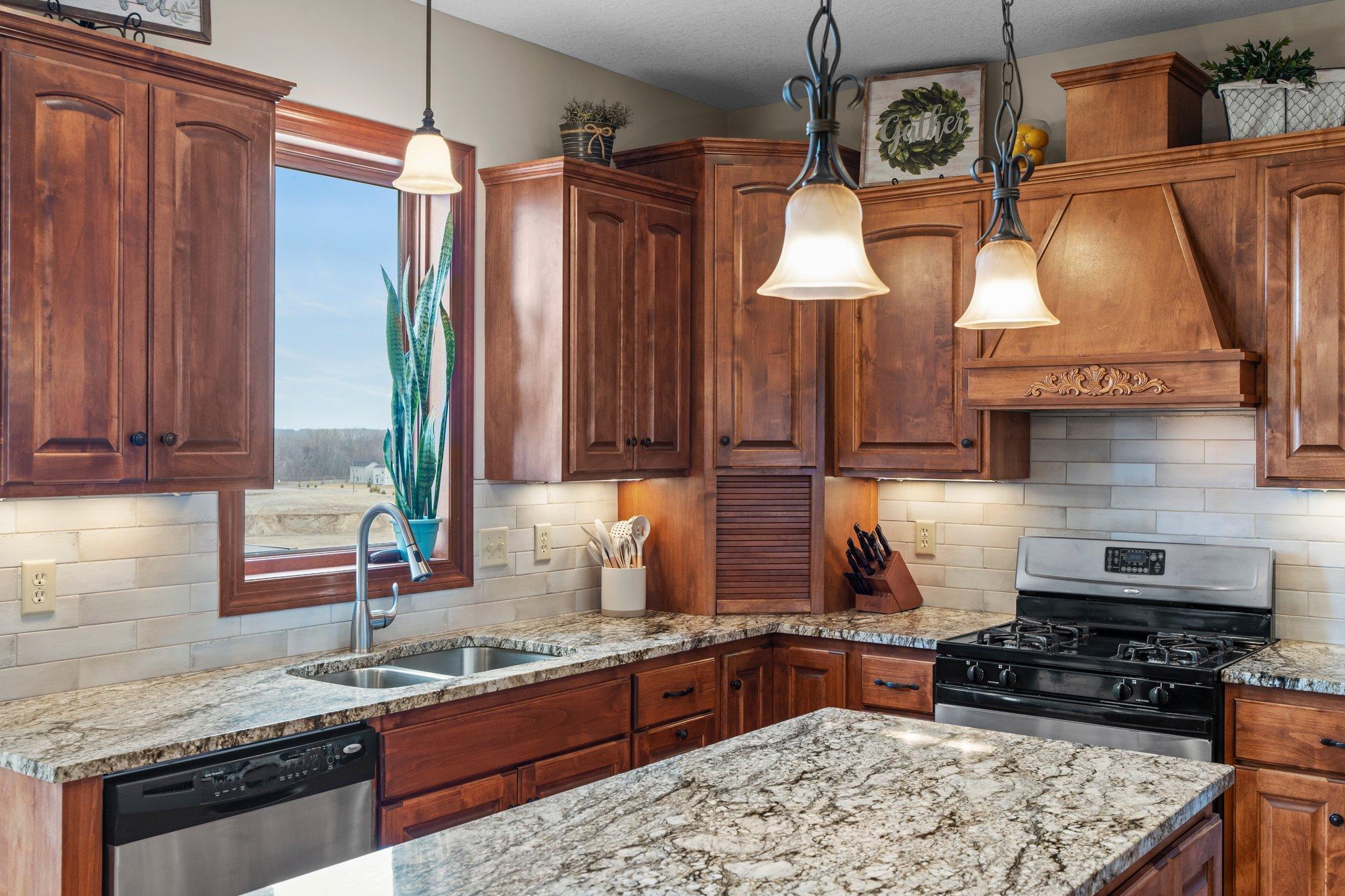 24648 Superior Drive, Rogers, Minnesota image 18