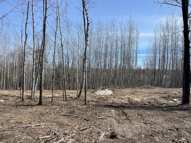 TBD Lot 4 New Manz Drive, Lake George, Minnesota image 5