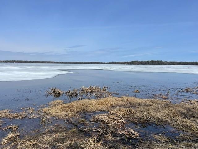 TBD Lot 4 New Manz Drive, Lake George, Minnesota image 6