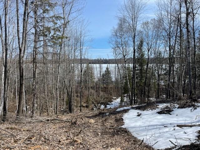 TBD Lot 4 New Manz Drive, Lake George, Minnesota image 2