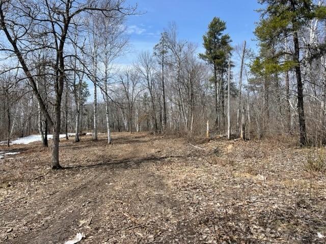 TBD Lot 4 New Manz Drive, Lake George, Minnesota image 3