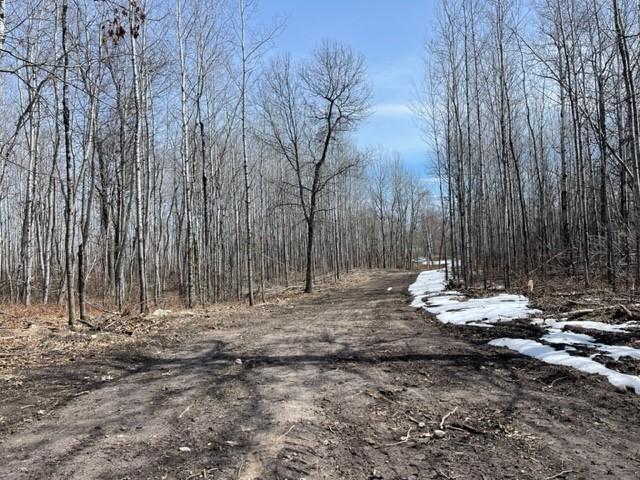 TBD Lot 4 New Manz Drive, Lake George, Minnesota image 4