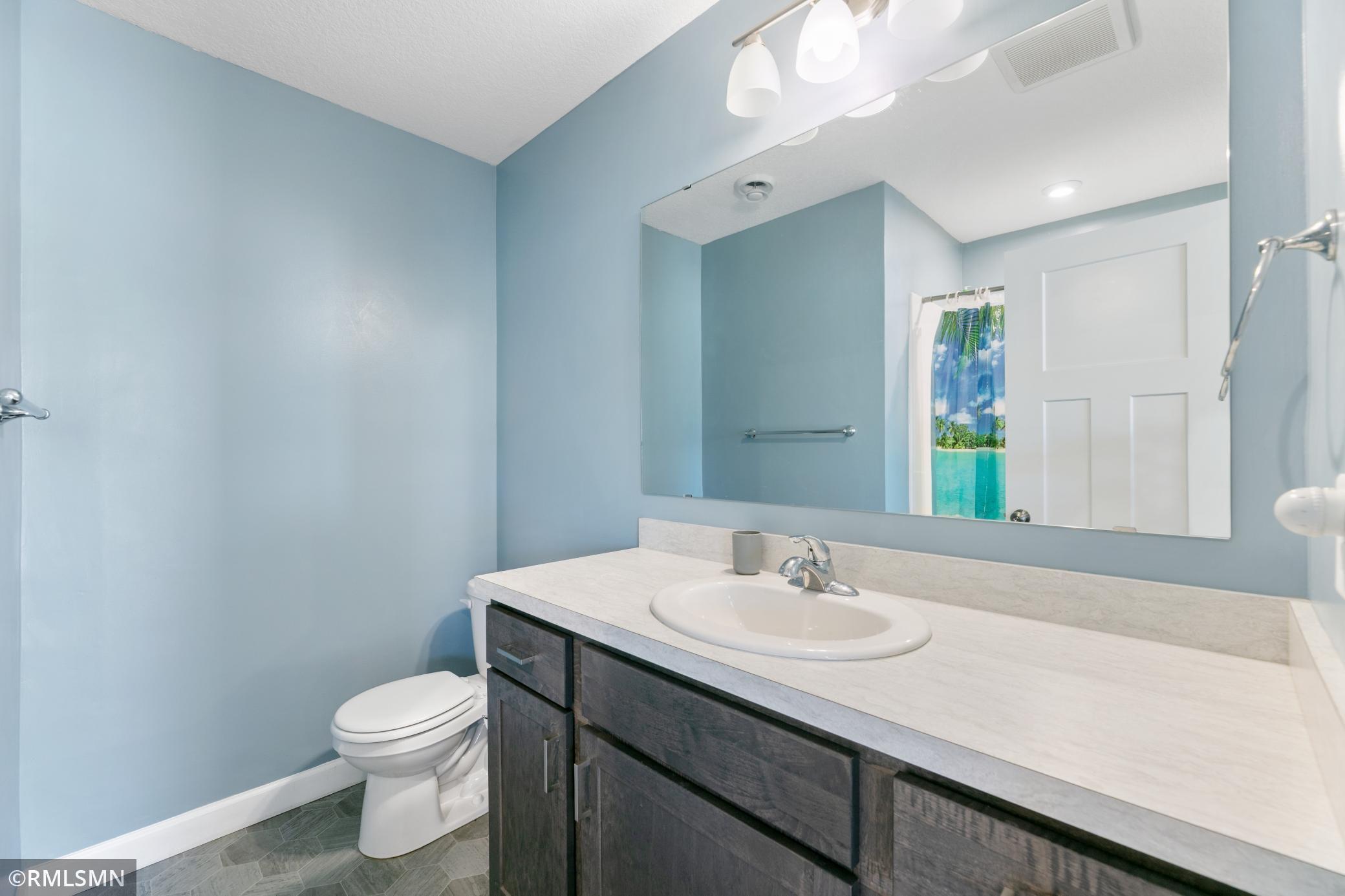 729 Mallard Street, Hanover, Minnesota image 23