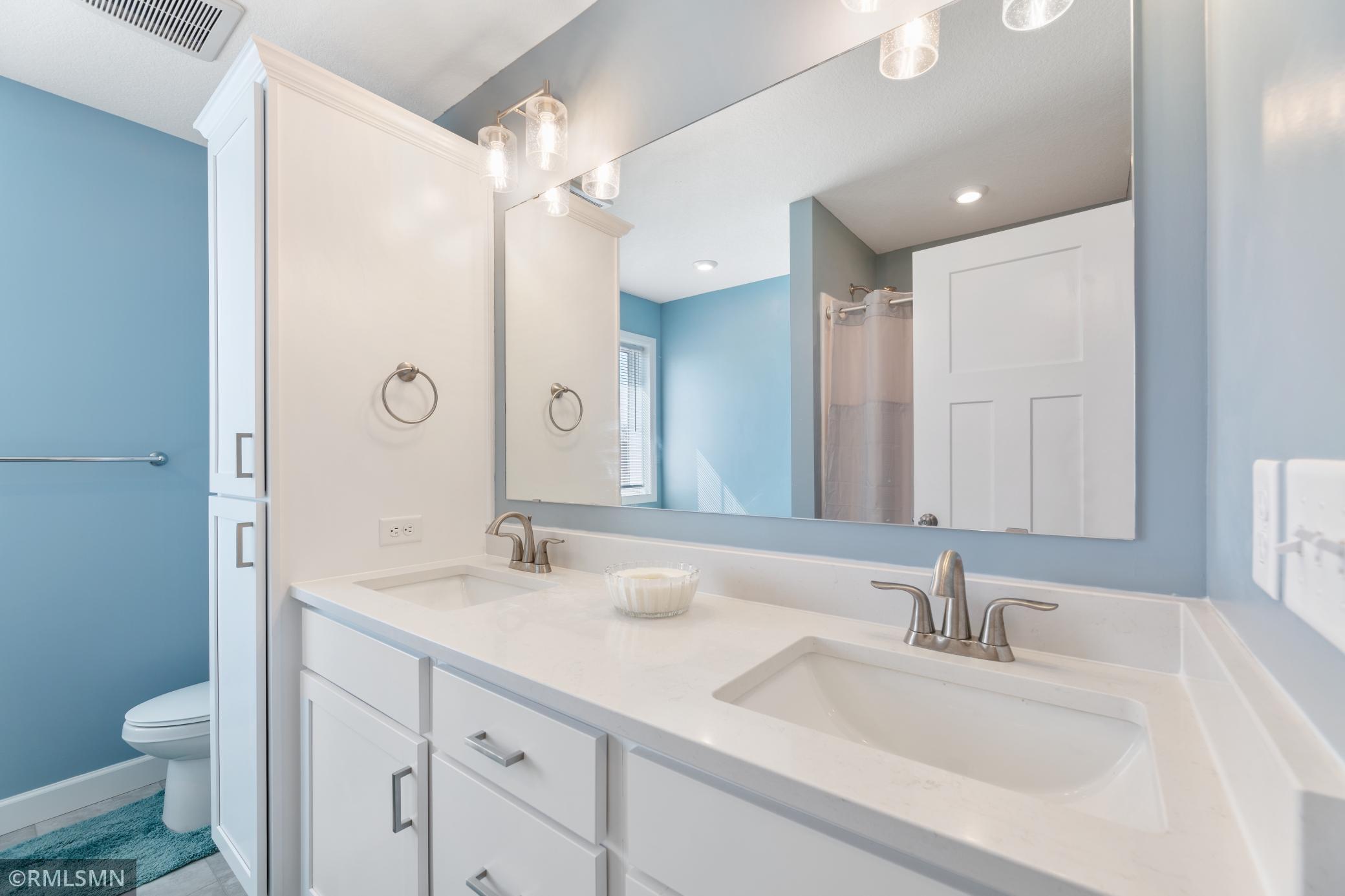 729 Mallard Street, Hanover, Minnesota image 16