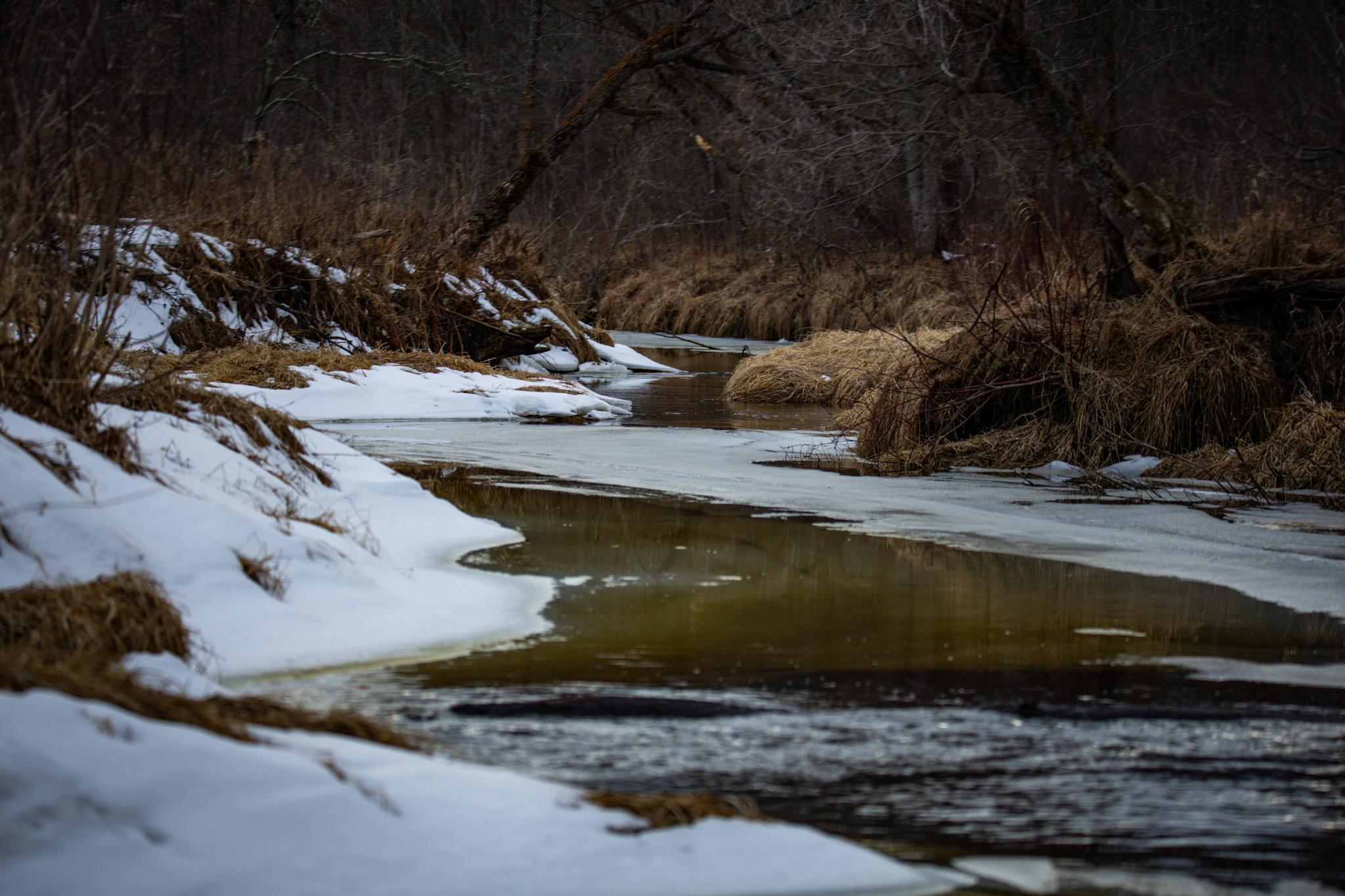 TBD Cormant Road, Kelliher, Minnesota image 17