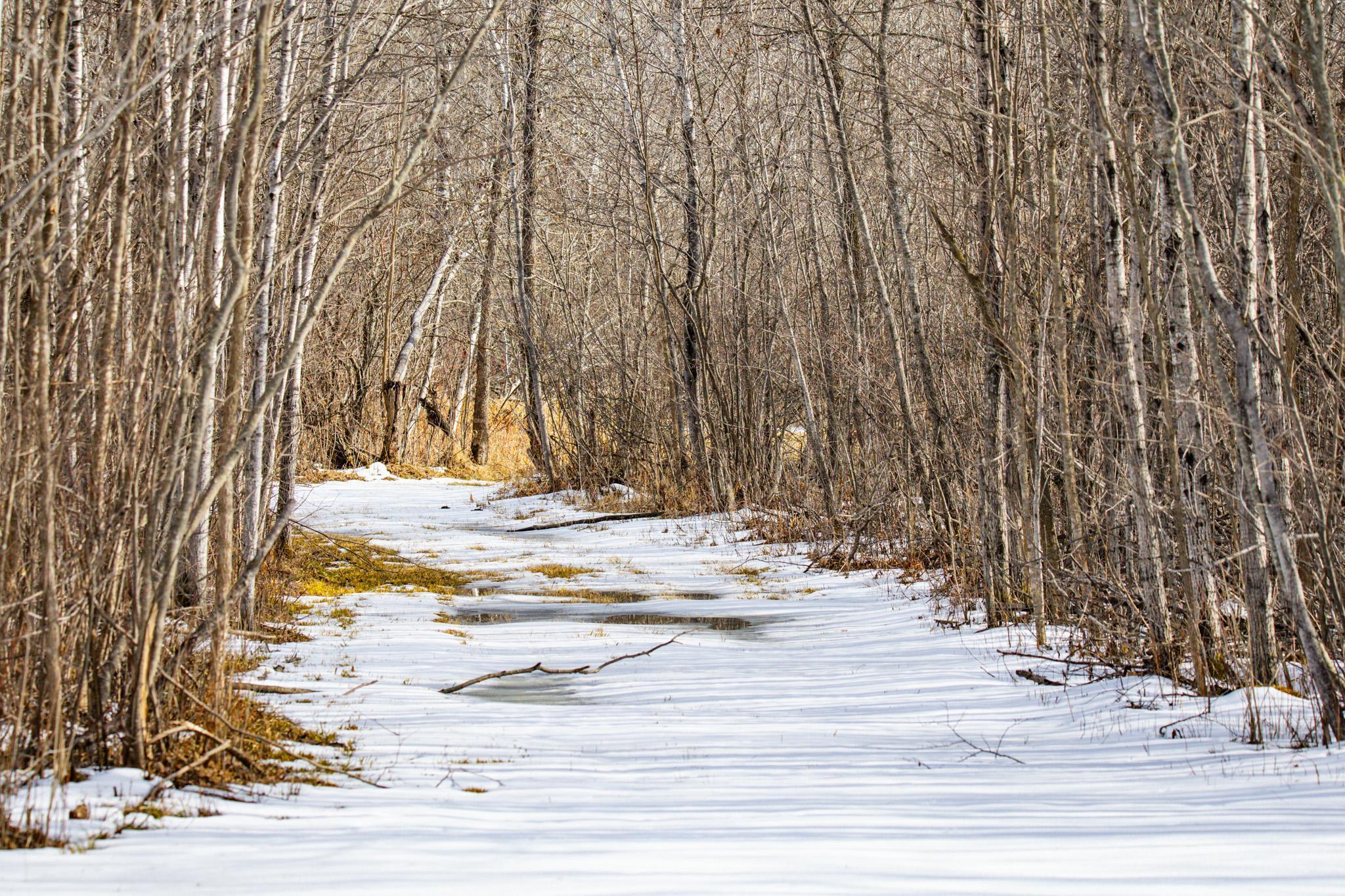 TBD Cormant Road, Kelliher, Minnesota image 28