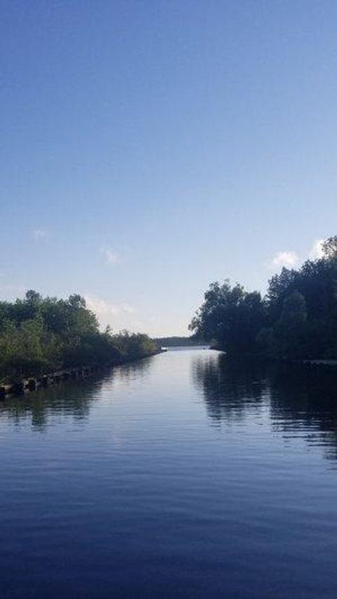 Vacant Land For Sale - TBD 6 Lake Ave S Avenue<br/> Saint Louis County, Tower, MN 55790