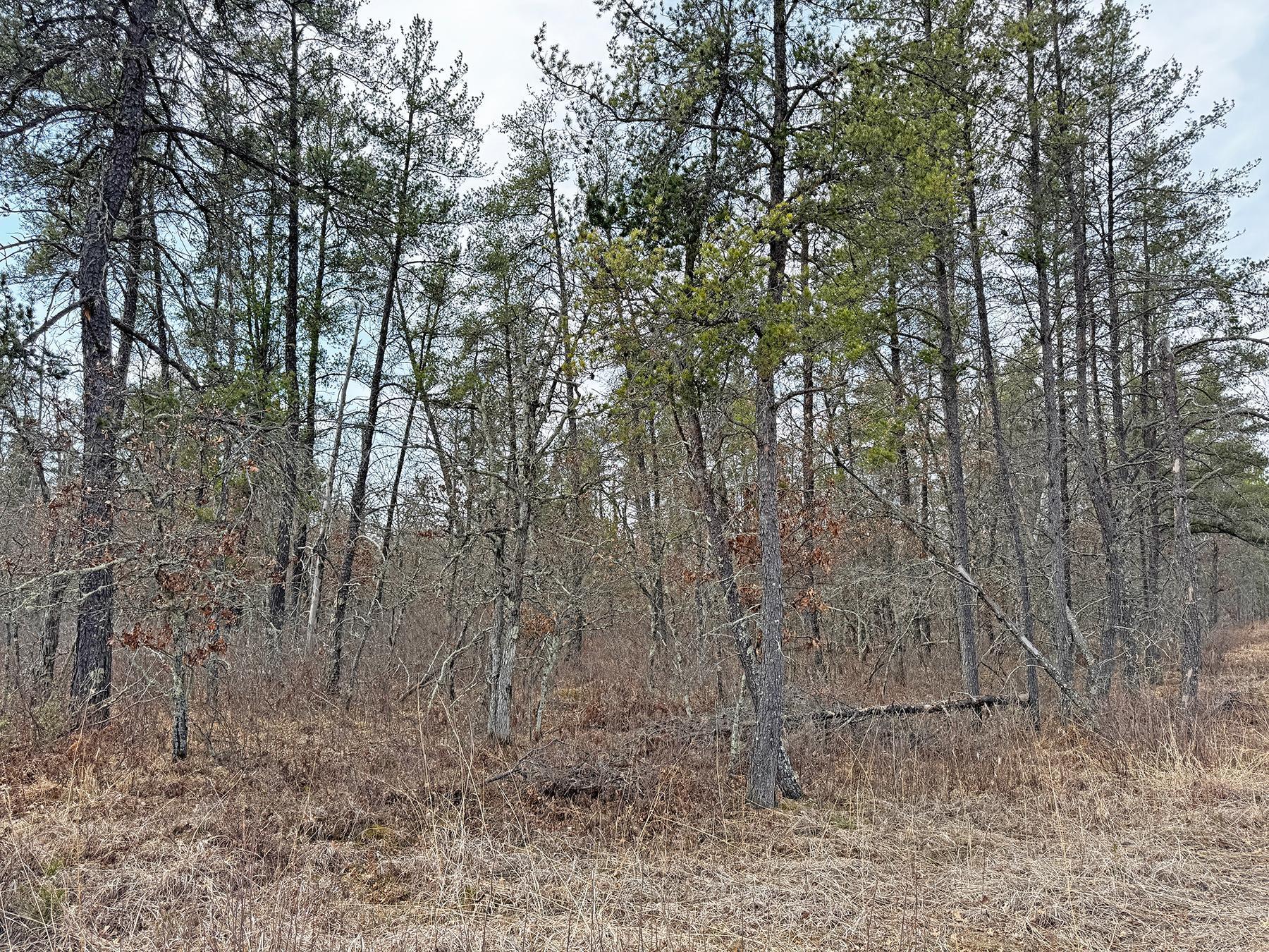 XXX Lot 20 Middle Road, Minong, Wisconsin image 14