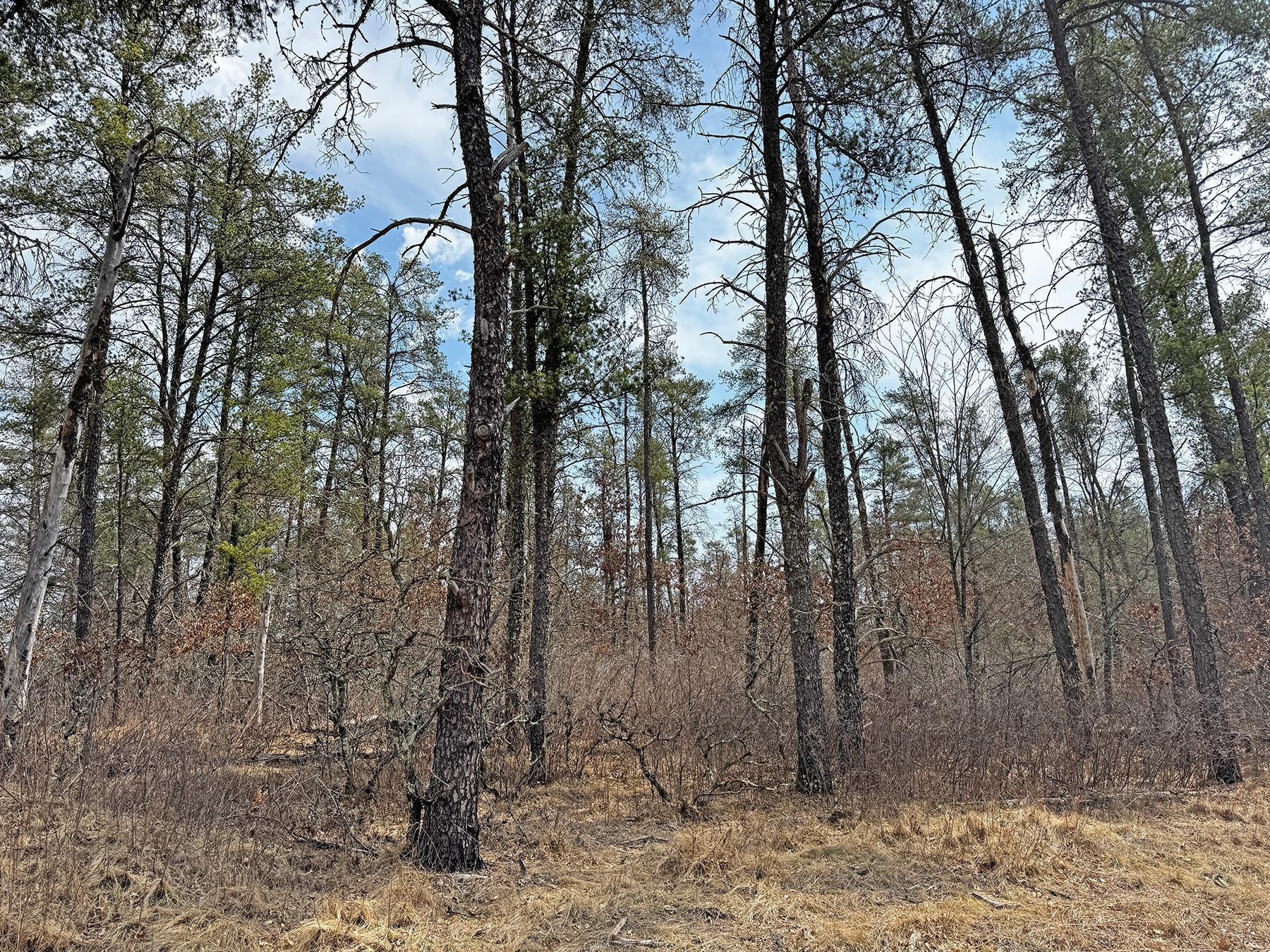 XXX Lot 20 Middle Road, Minong, Wisconsin image 18