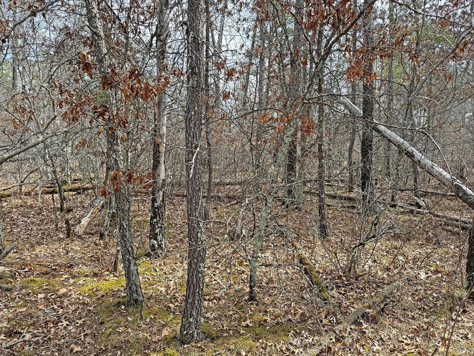 XXX Lot 20 Middle Road, Minong, Wisconsin image 10