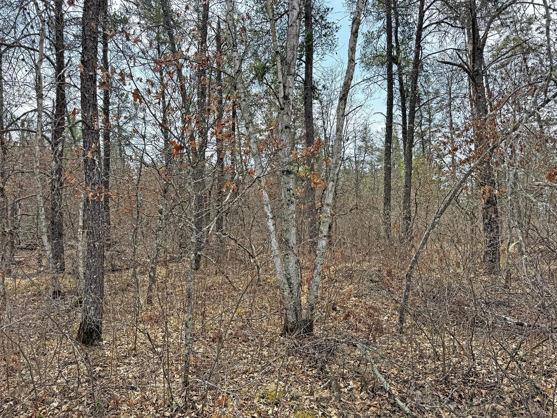 XXX Lot 20 Middle Road, Minong, Wisconsin image 12