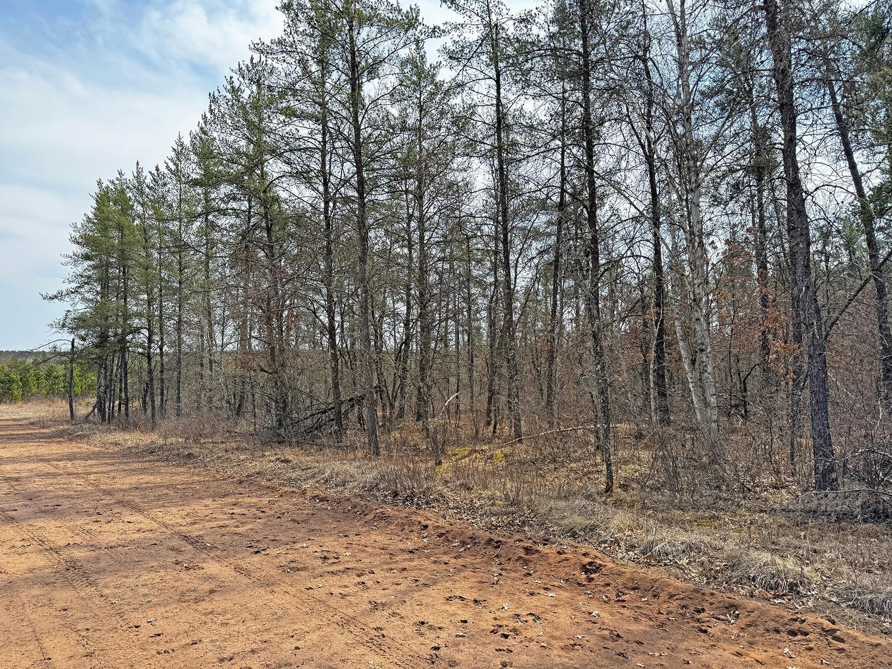 XXX Lot 20 Middle Road, Minong, Wisconsin image 6