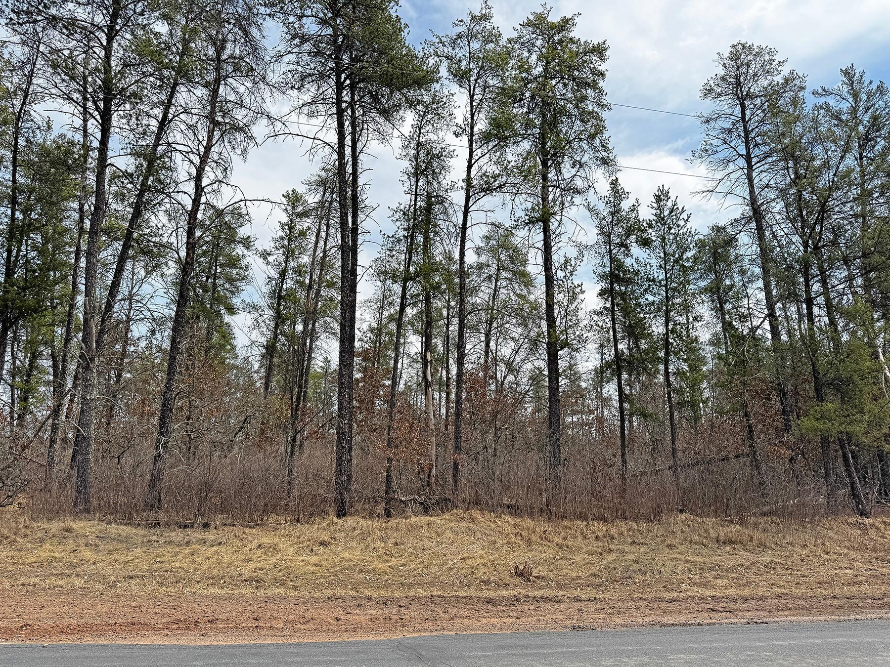 XXX Lot 20 Middle Road, Minong, Wisconsin image 5