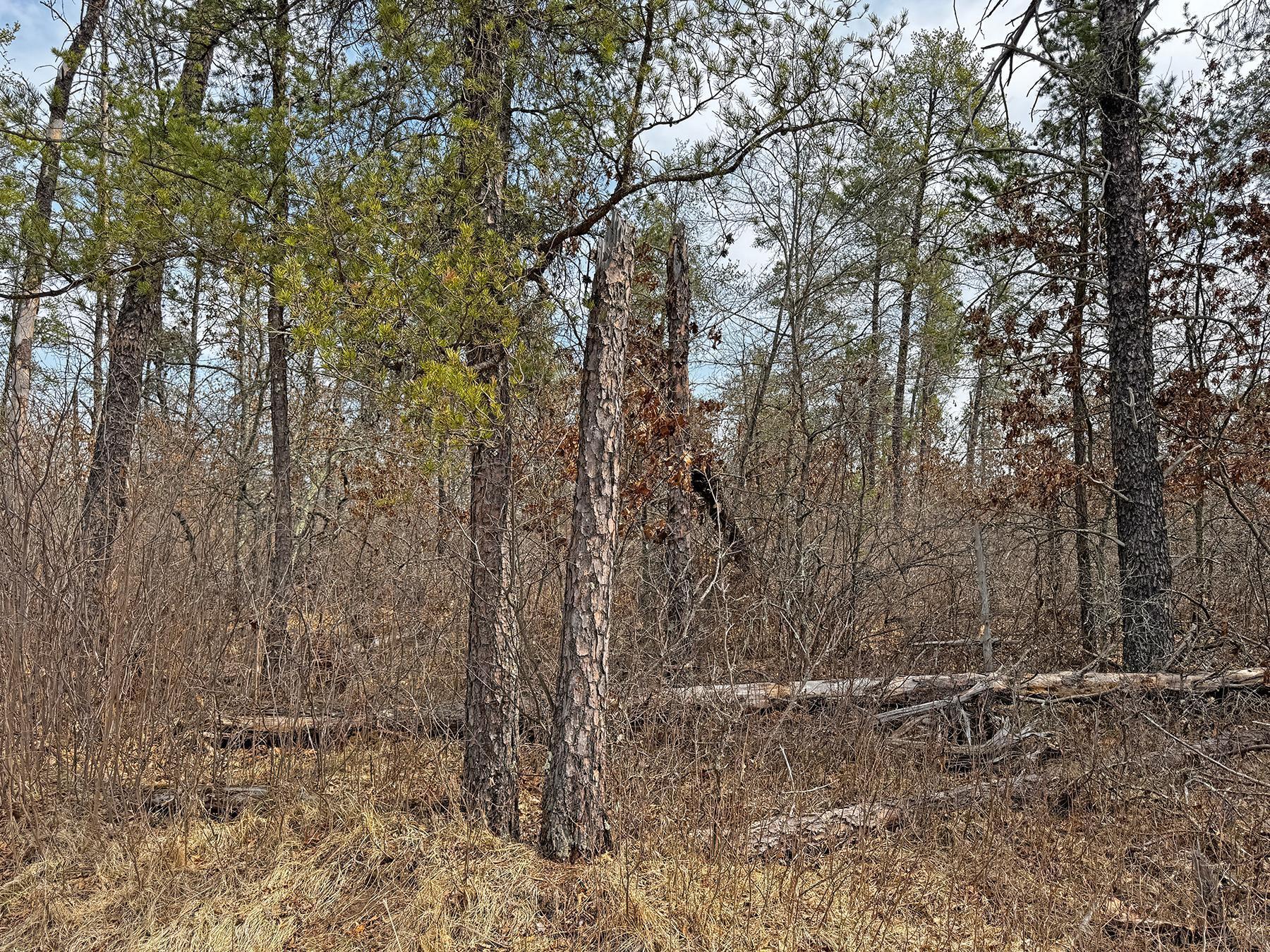 XXX Lot 20 Middle Road, Minong, Wisconsin image 16
