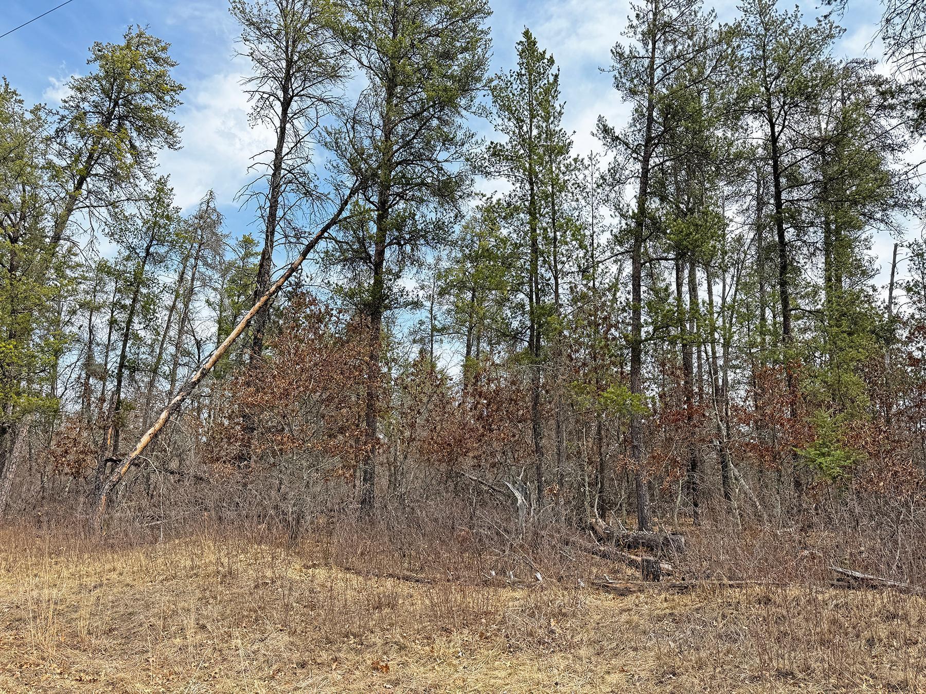 XXX Lot 20 Middle Road, Minong, Wisconsin image 17